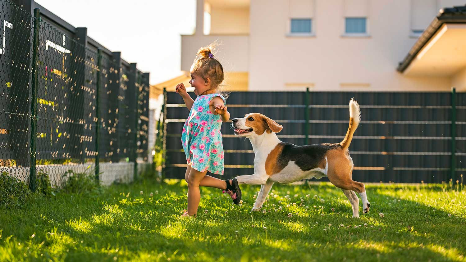 A child and dog play in a backyard