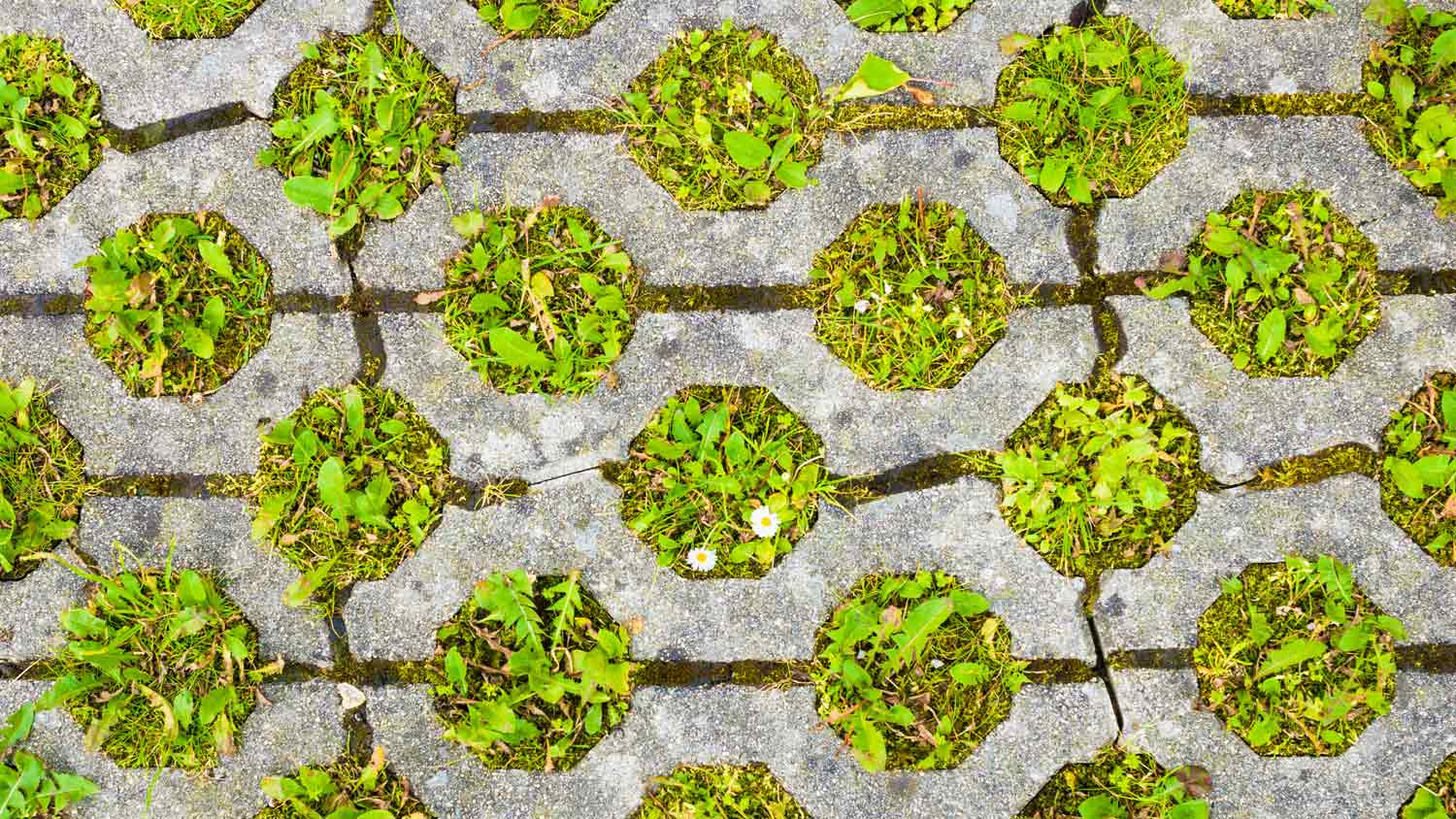 Circle design paver