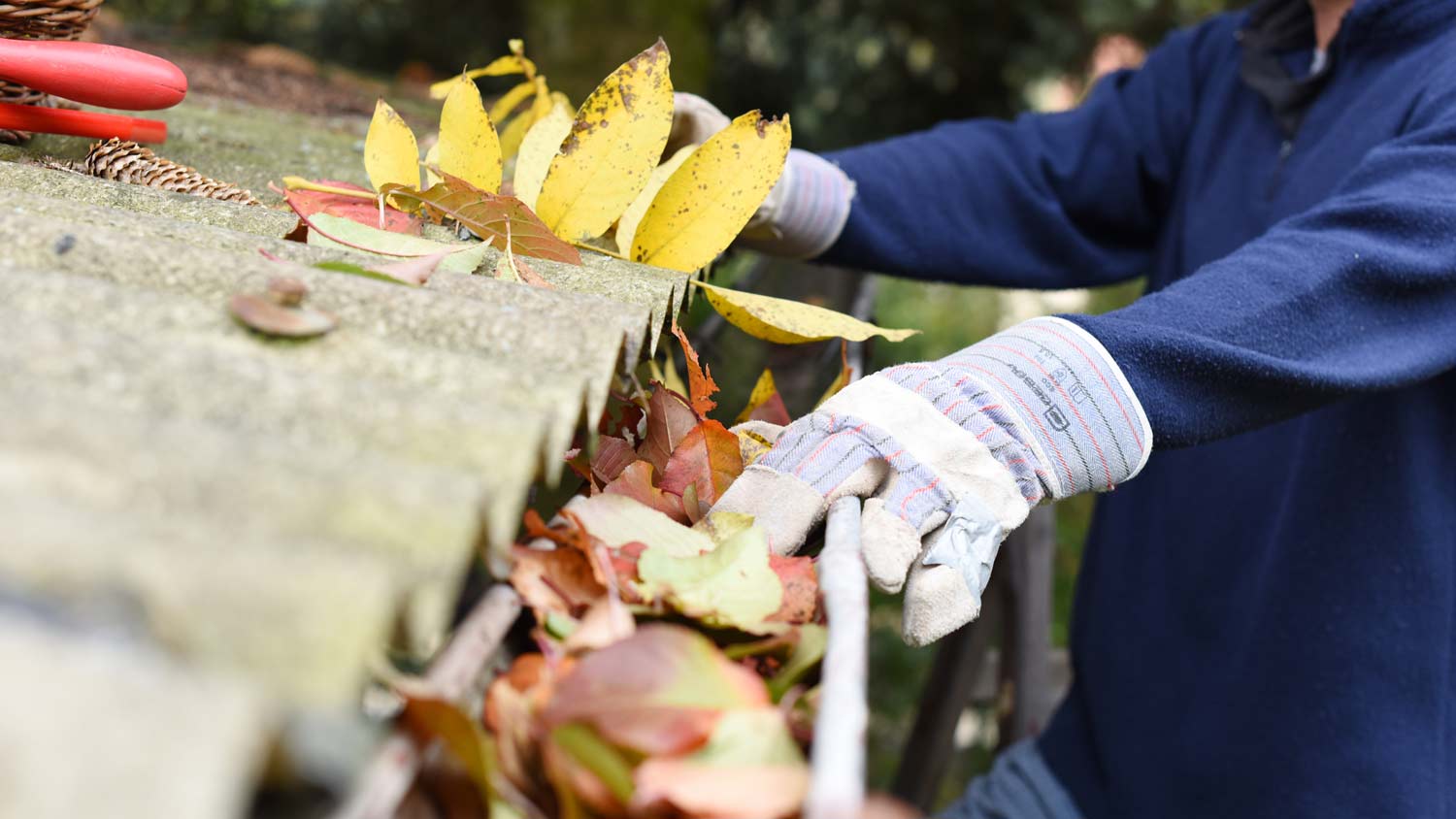 cleaning leaves from gutter