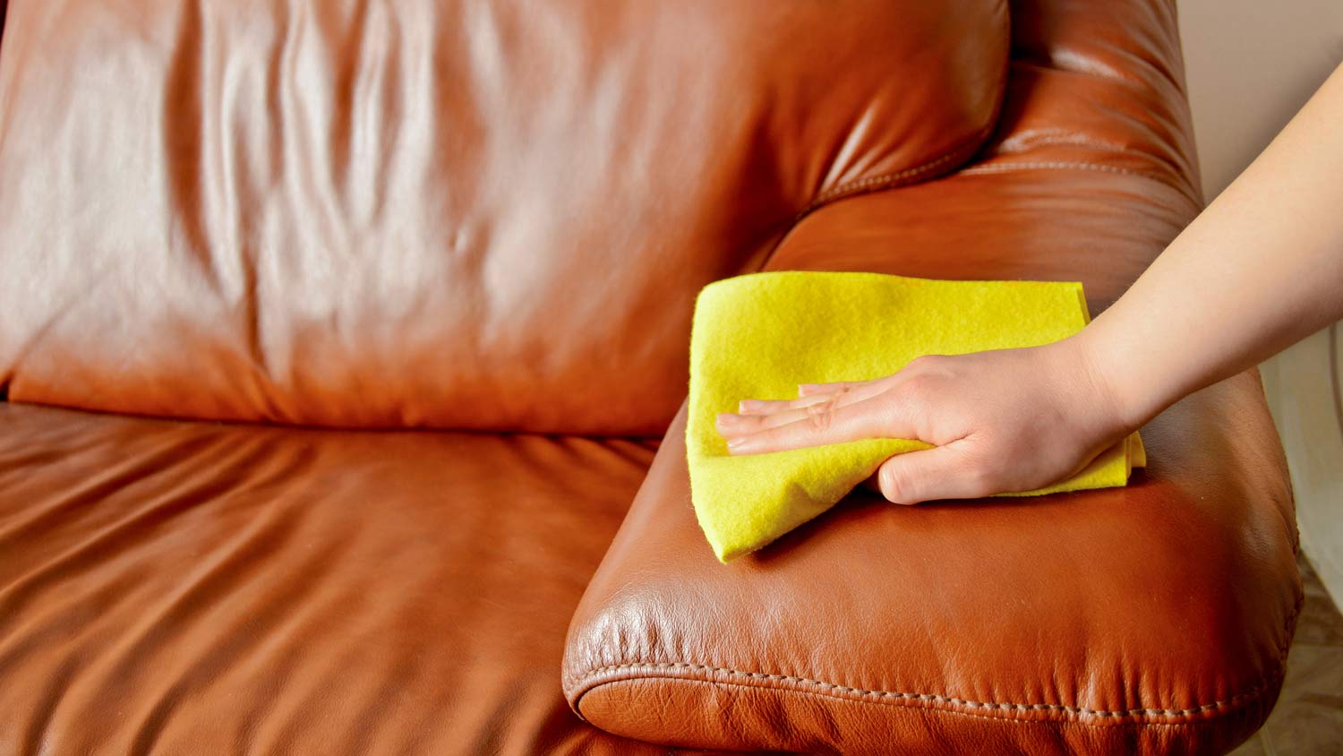 person wiping down leather couch