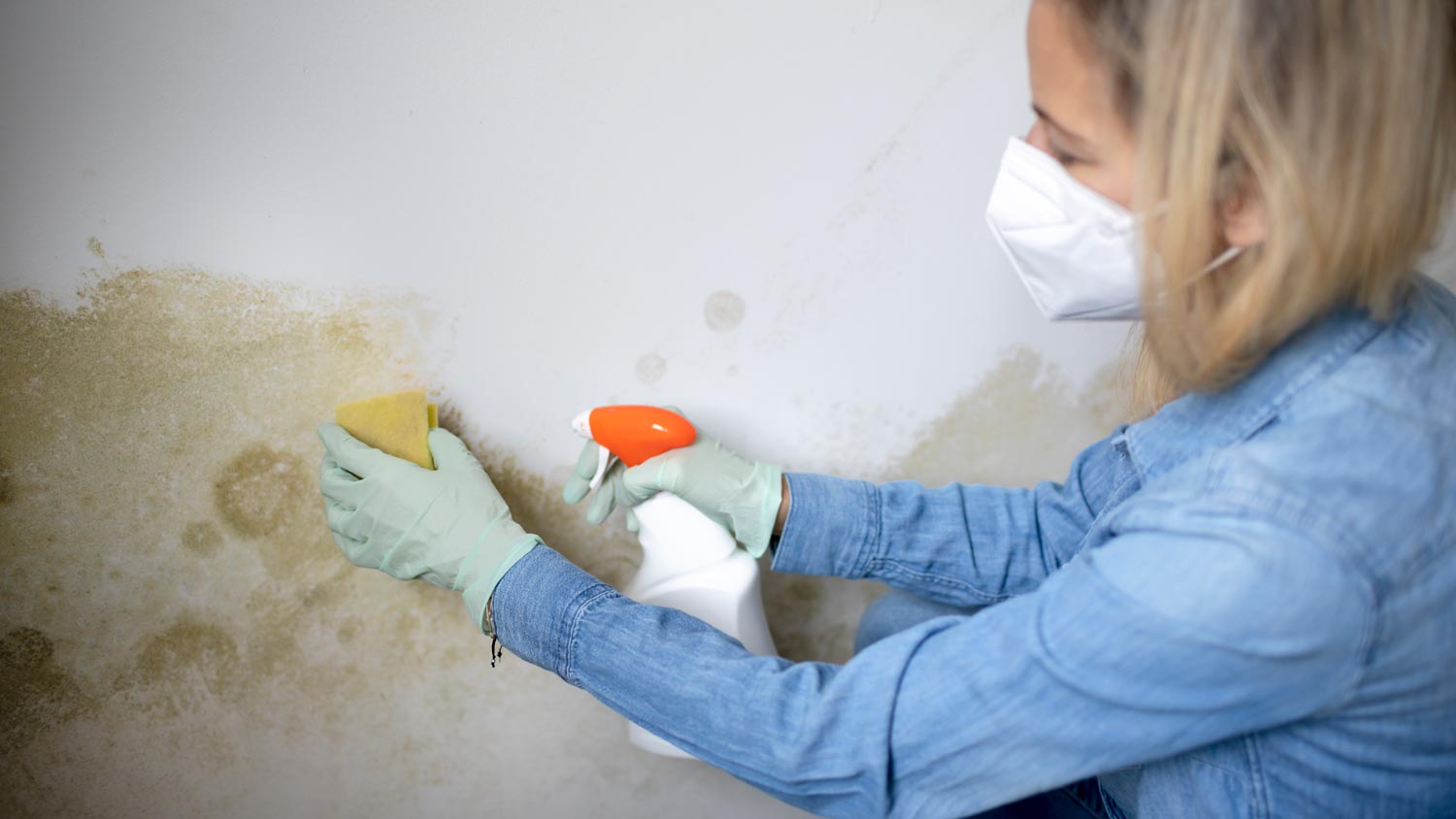 woman cleaning wall with mold