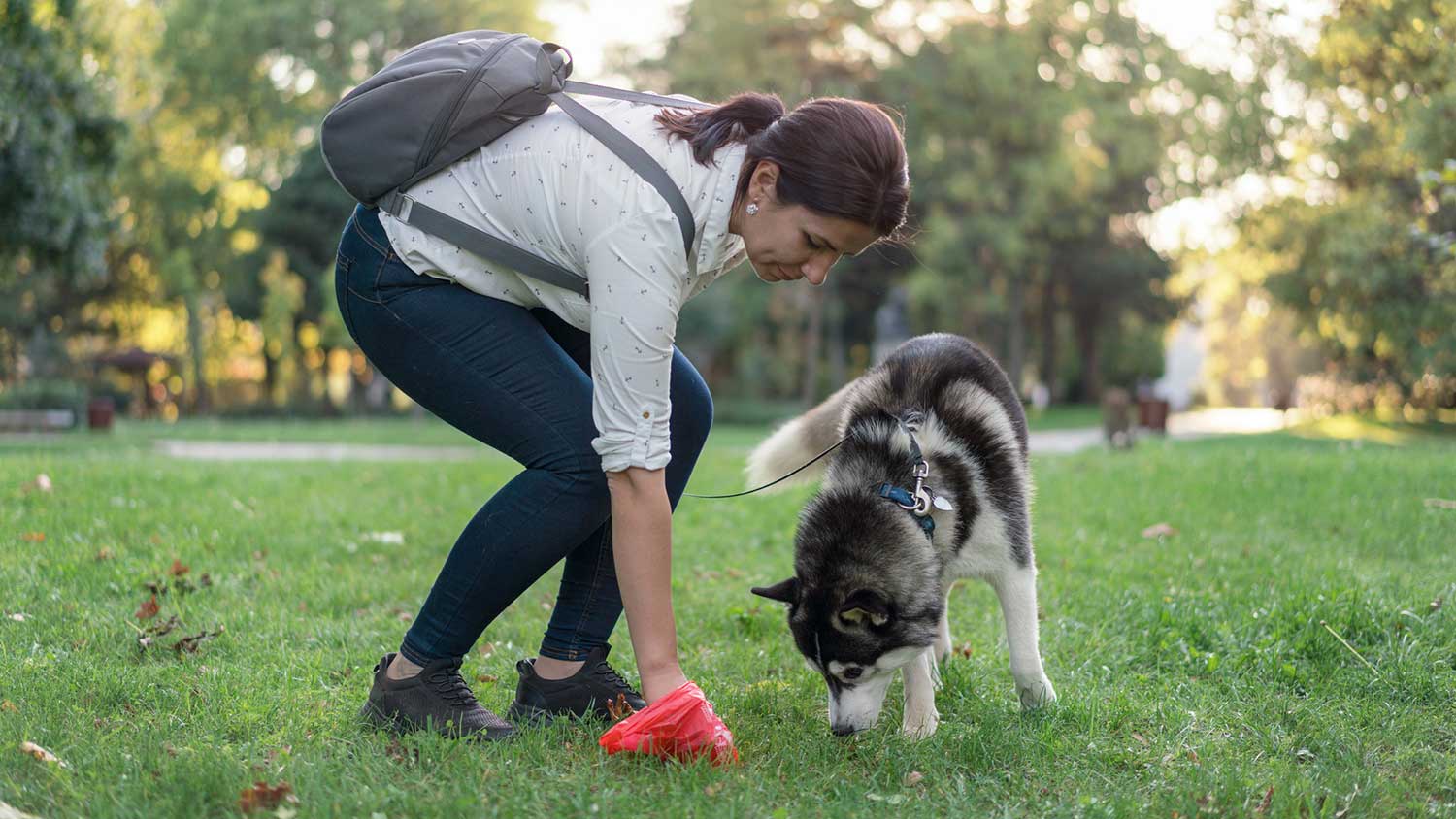 Woman in the park cleaning up after her dog