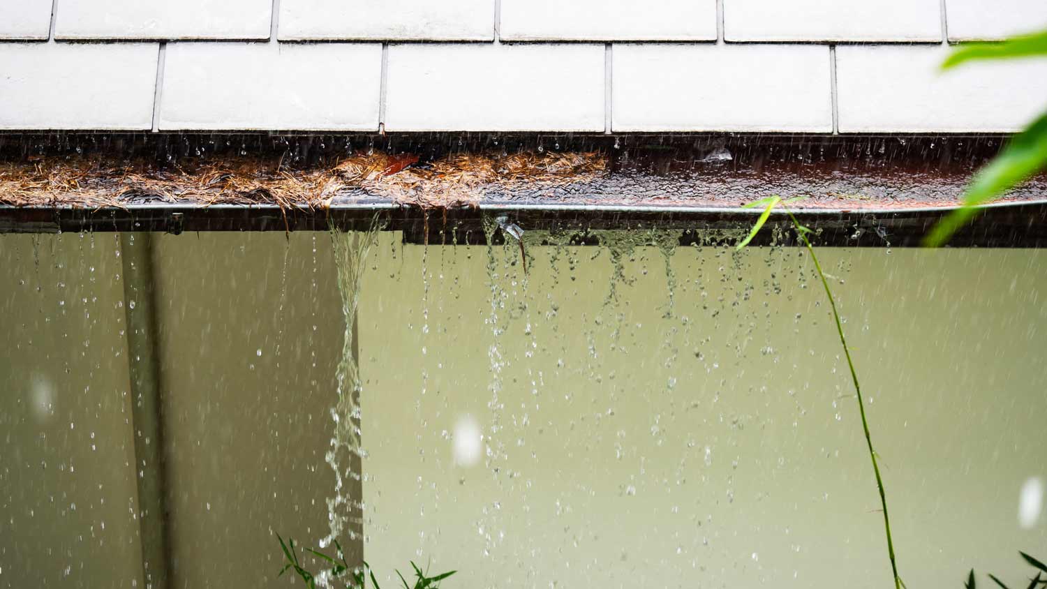 clogged rain gutters