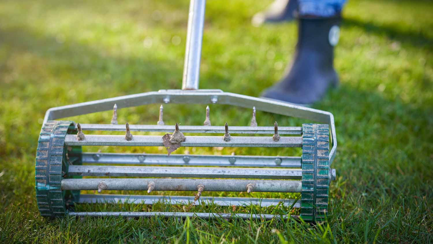 Close-up of aeration of lawn