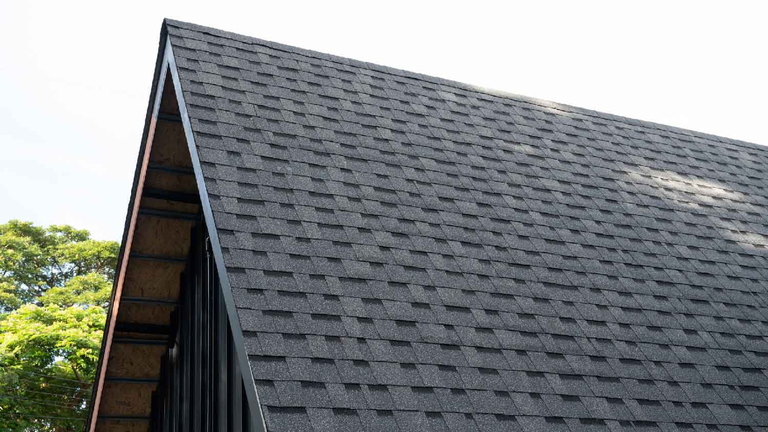 Close-up of architectural shingles