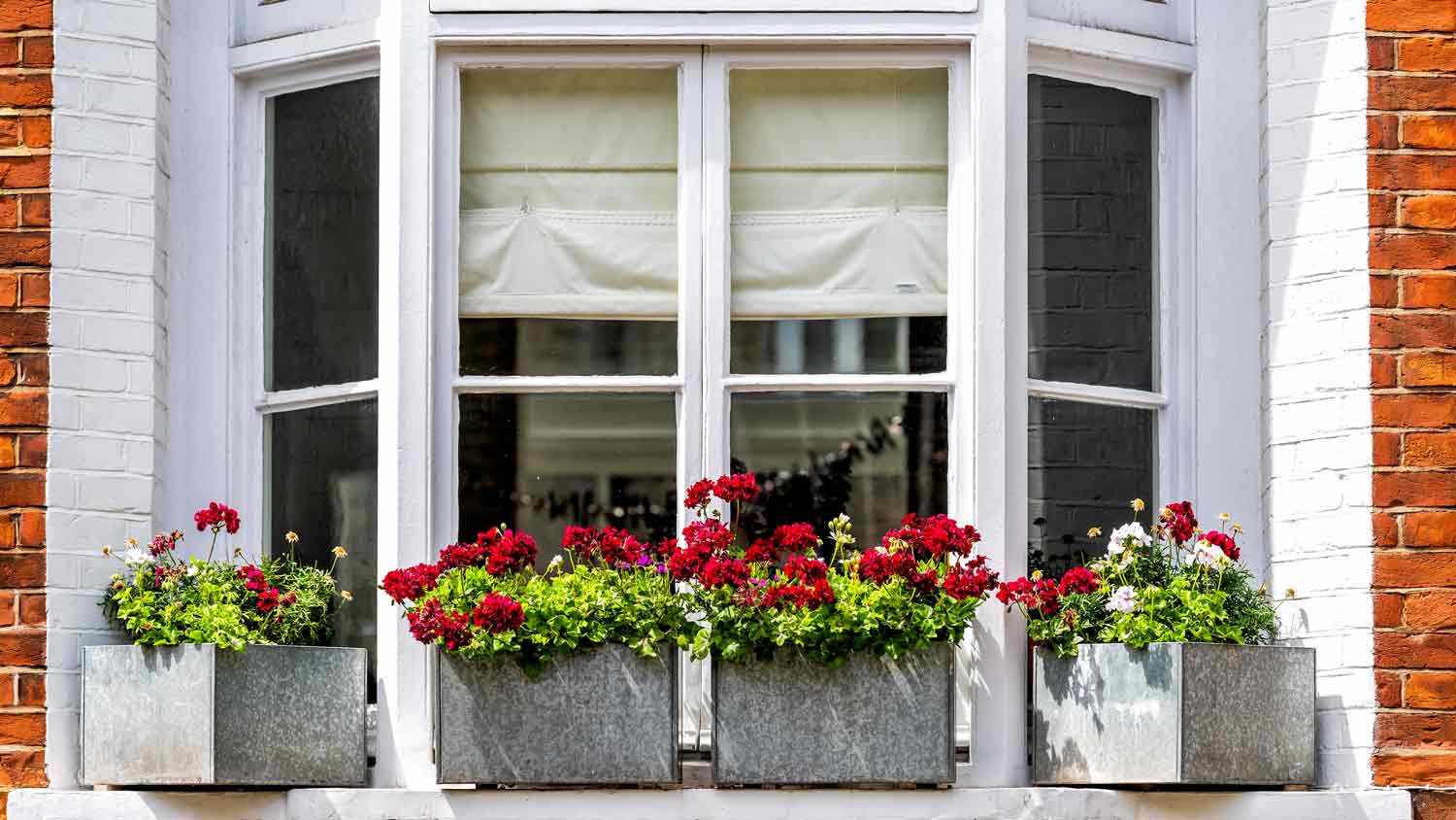 bay window with flowers