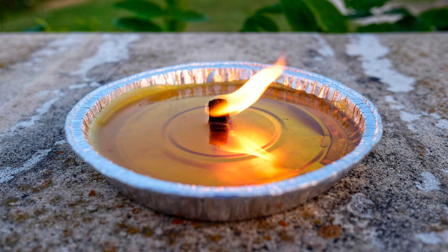 Close-up of a citronella candle burning in a garden