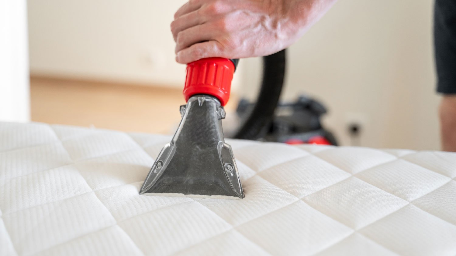 Close-up of a person cleaning a mattress