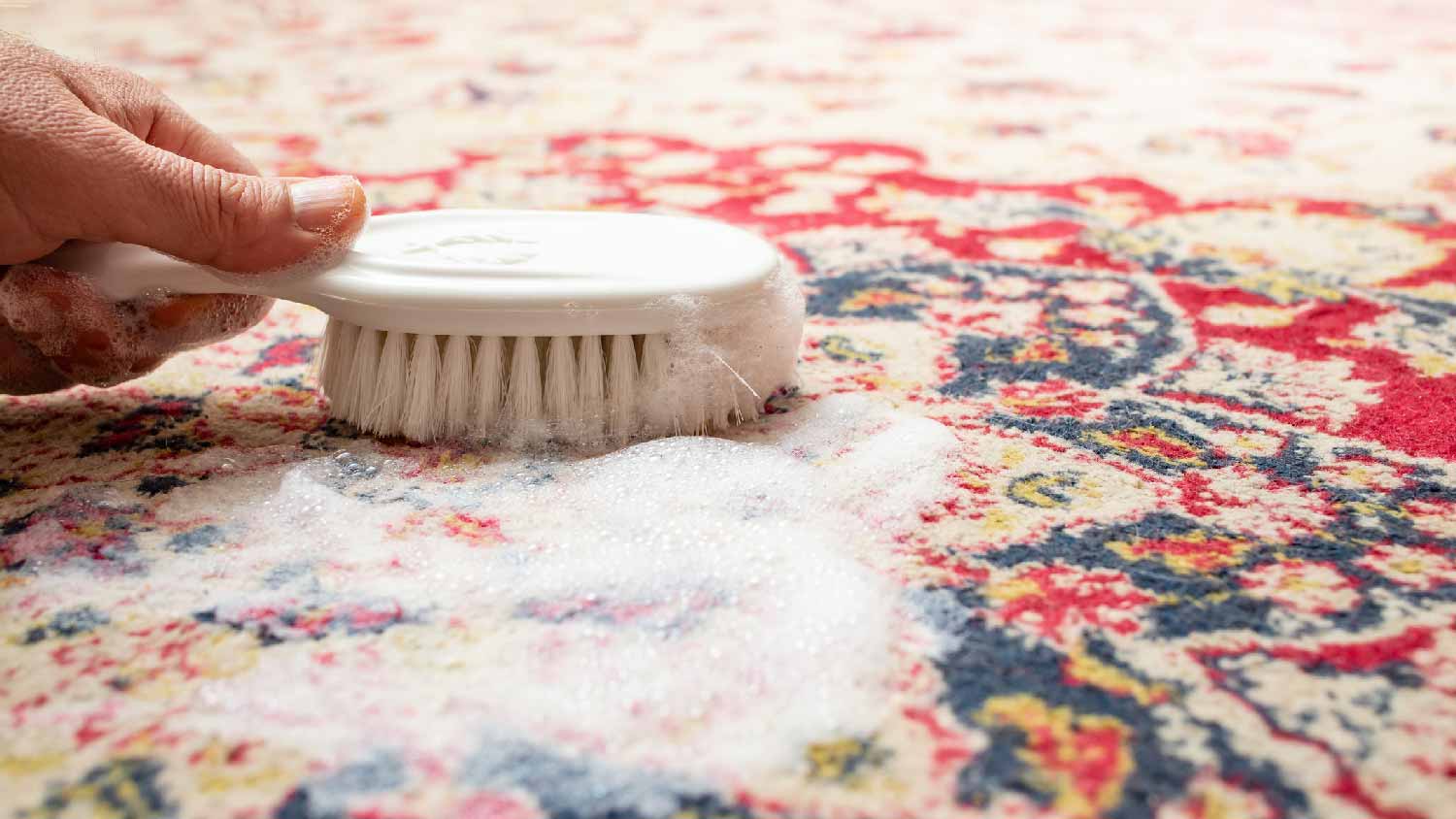 Close-up of a person cleaing with a brush a wool carpet