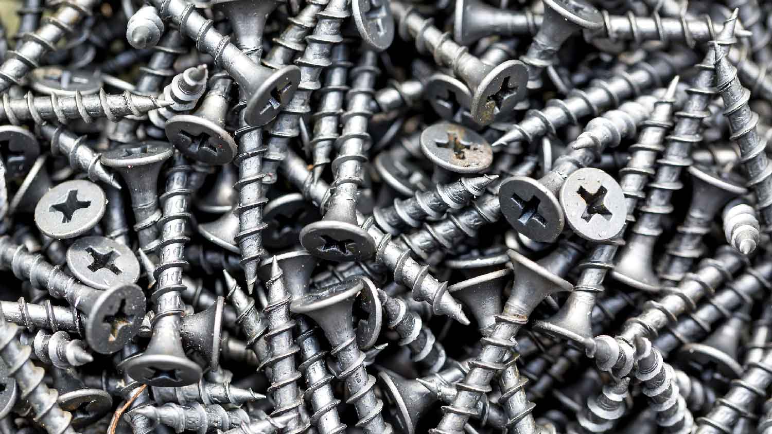 Close-up of coarse drywall screws