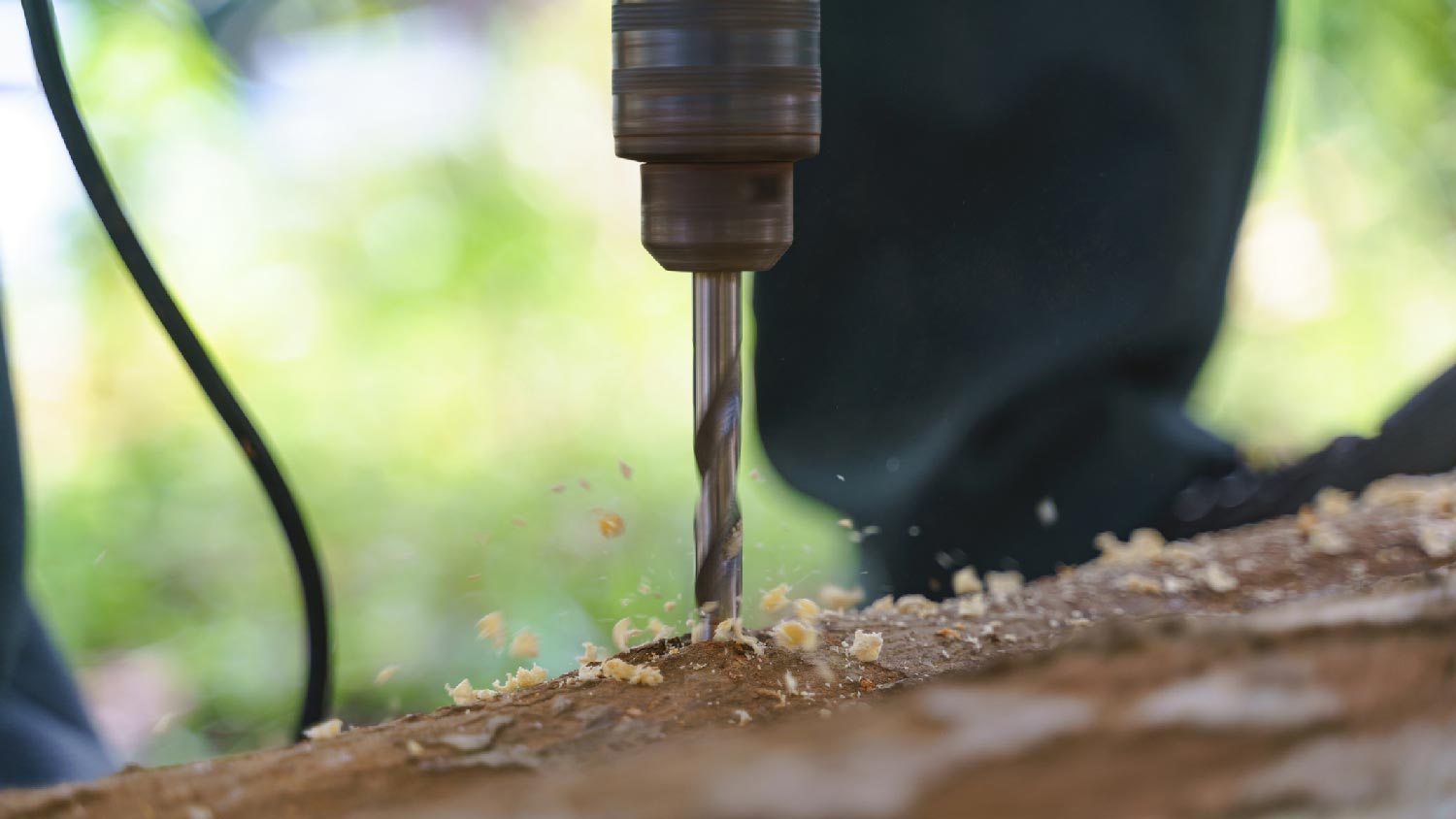 Close-up of drilling holes in a tree stump