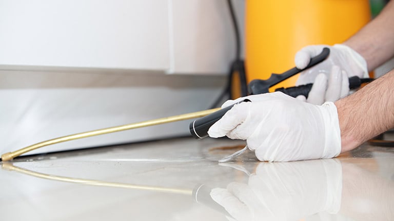 Close-up of a bug exterminator in a house