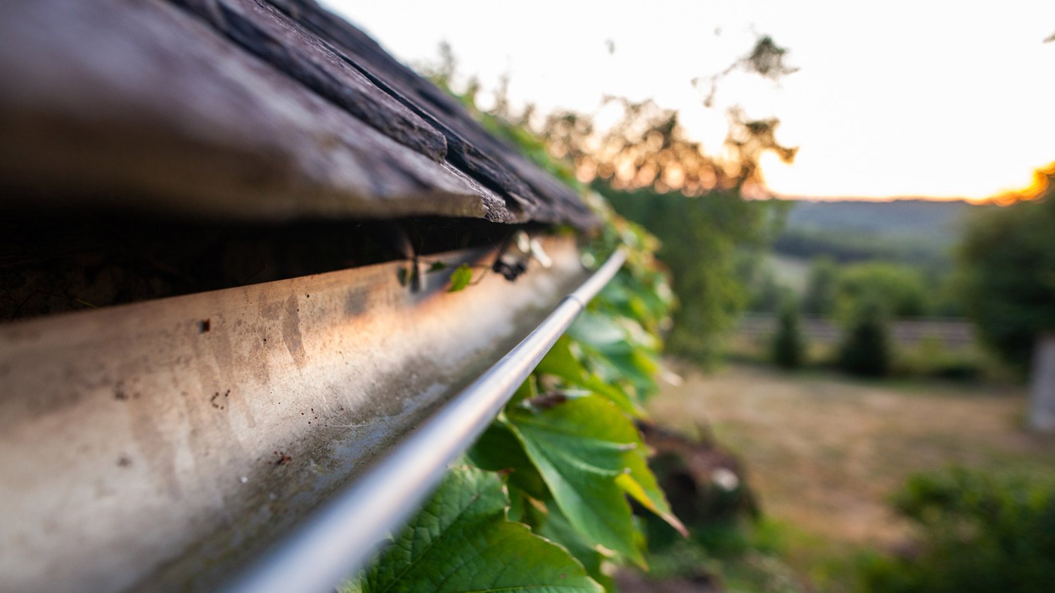 A close-up of house’s gutter