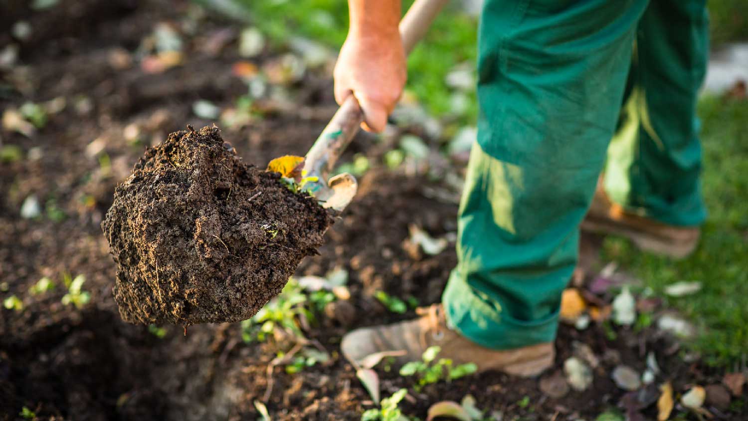 Close-up of a landscaper working in a garden