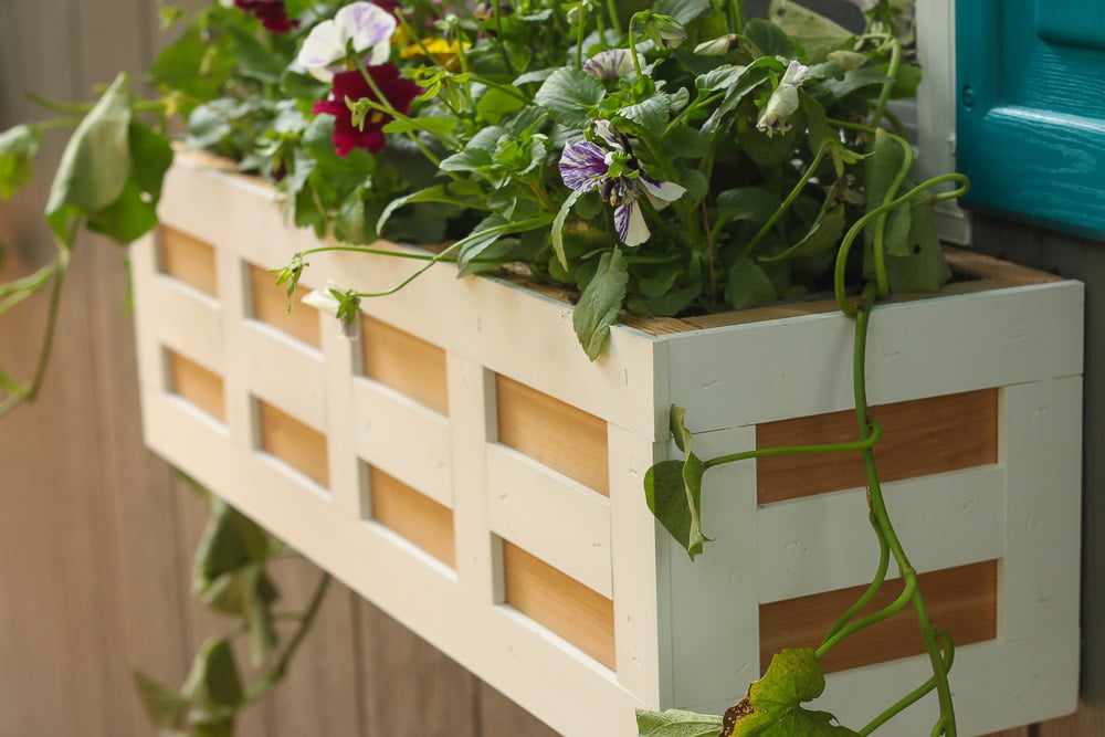window box