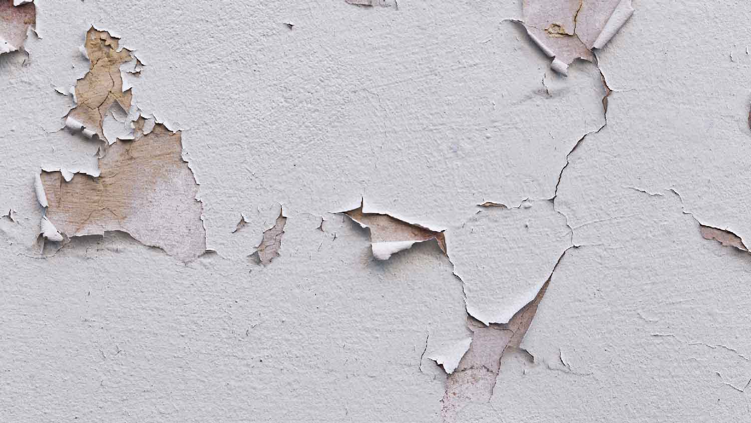 Close-up of a peeling wall