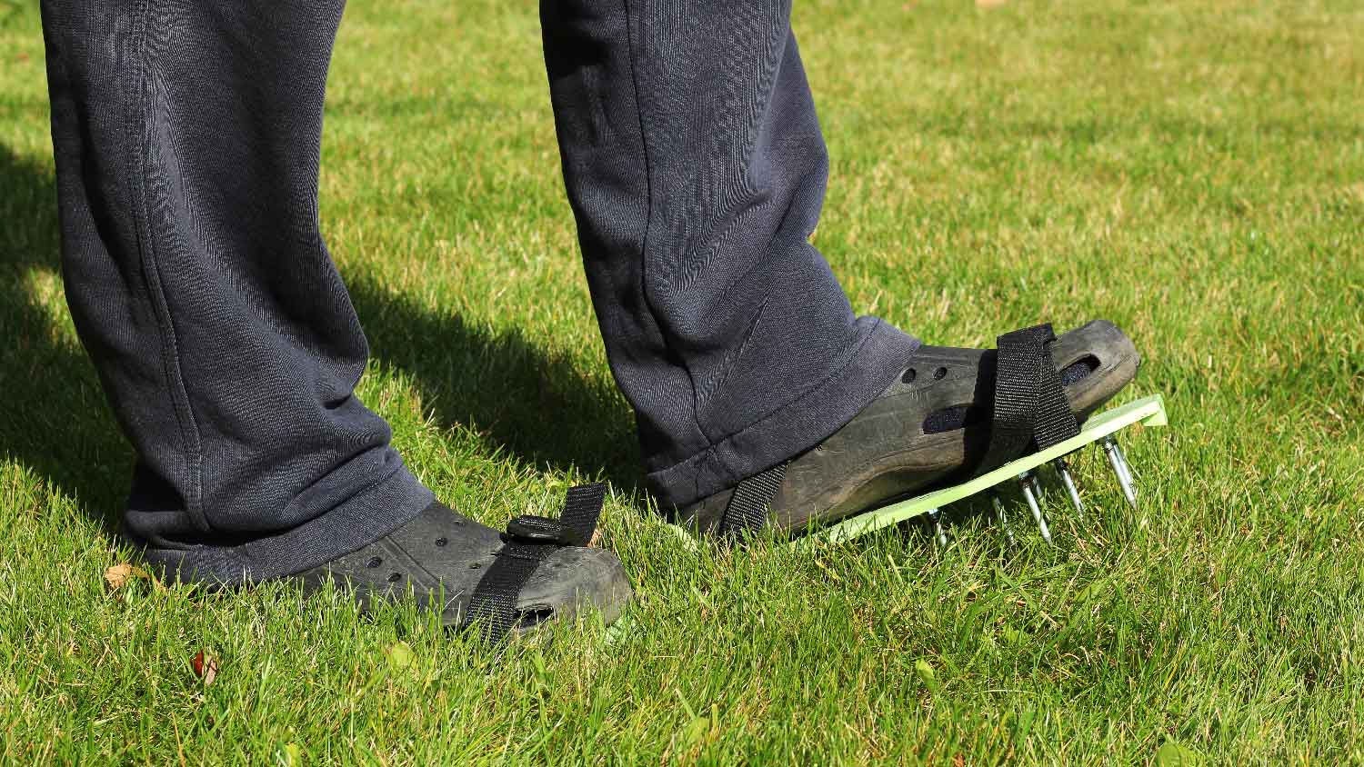 Close-up of a person aerating the lawn 