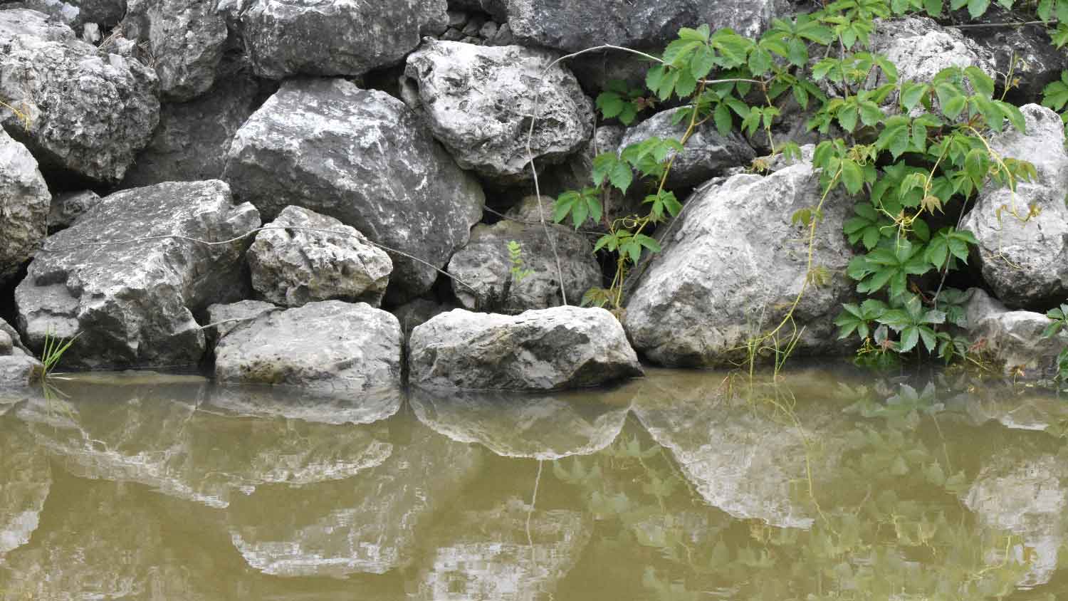 Close-up of a riprap on front of water