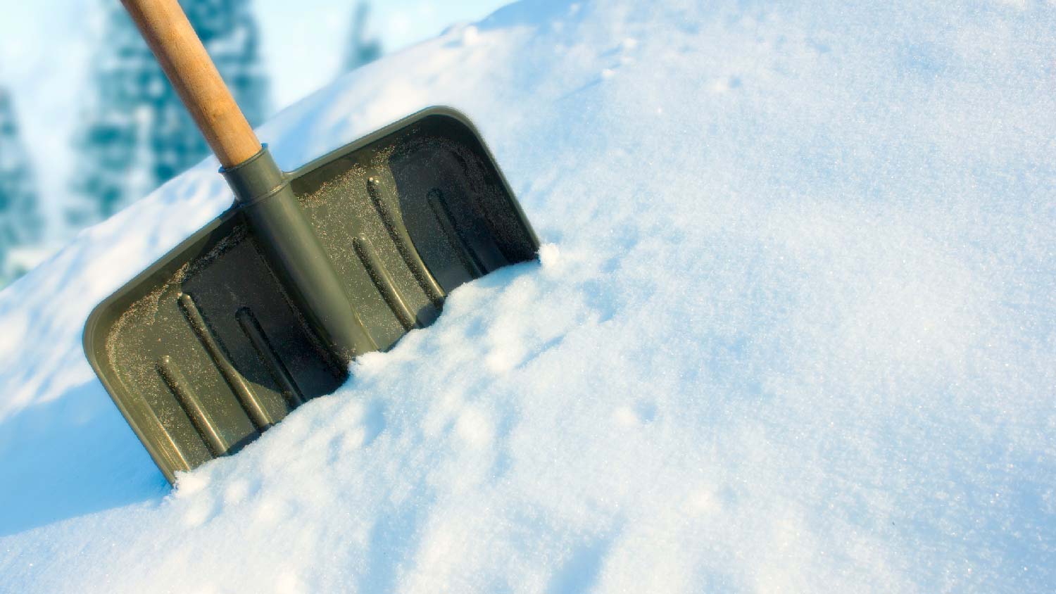 Close-up of a snow shovel