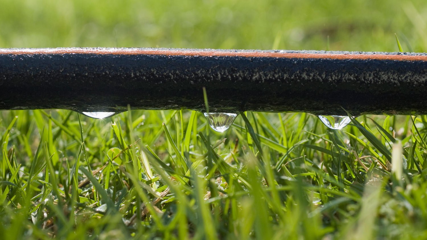 Close-up of a soaker hose 