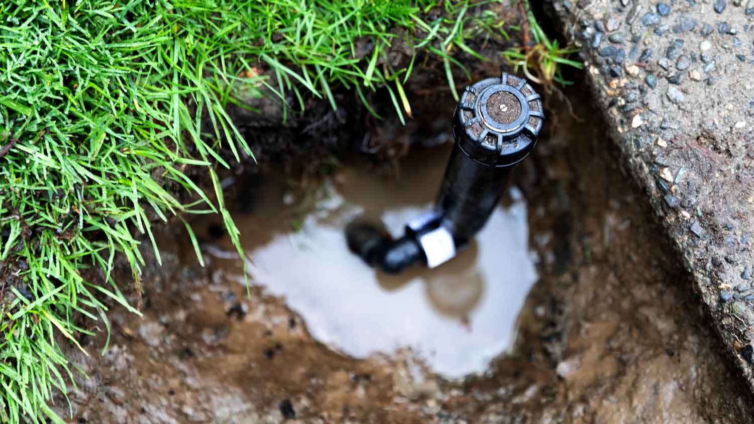 close up sprinkler head 