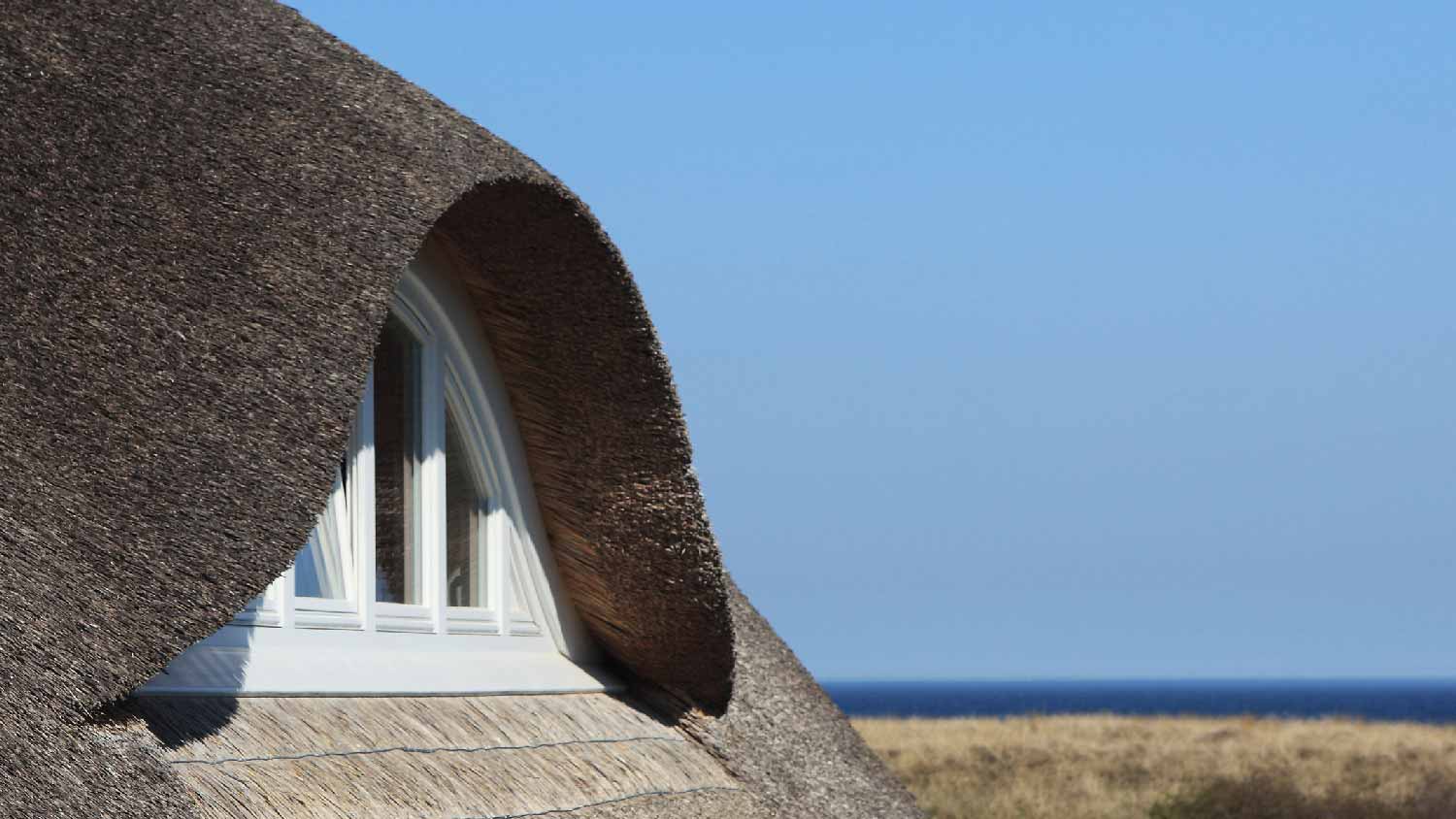 Close up of a thatched roof