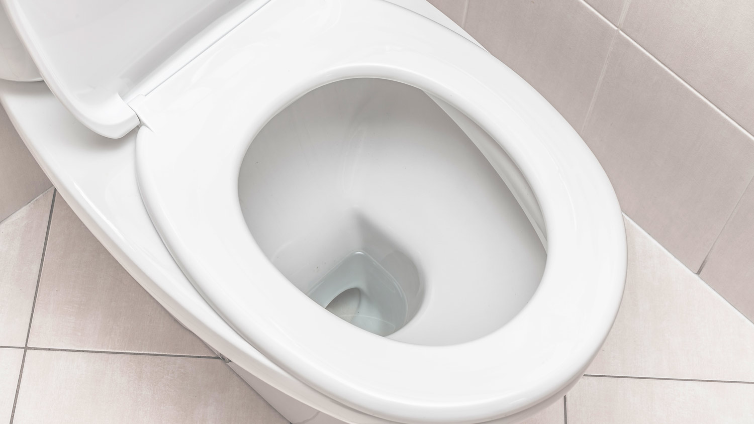 close up of open toilet