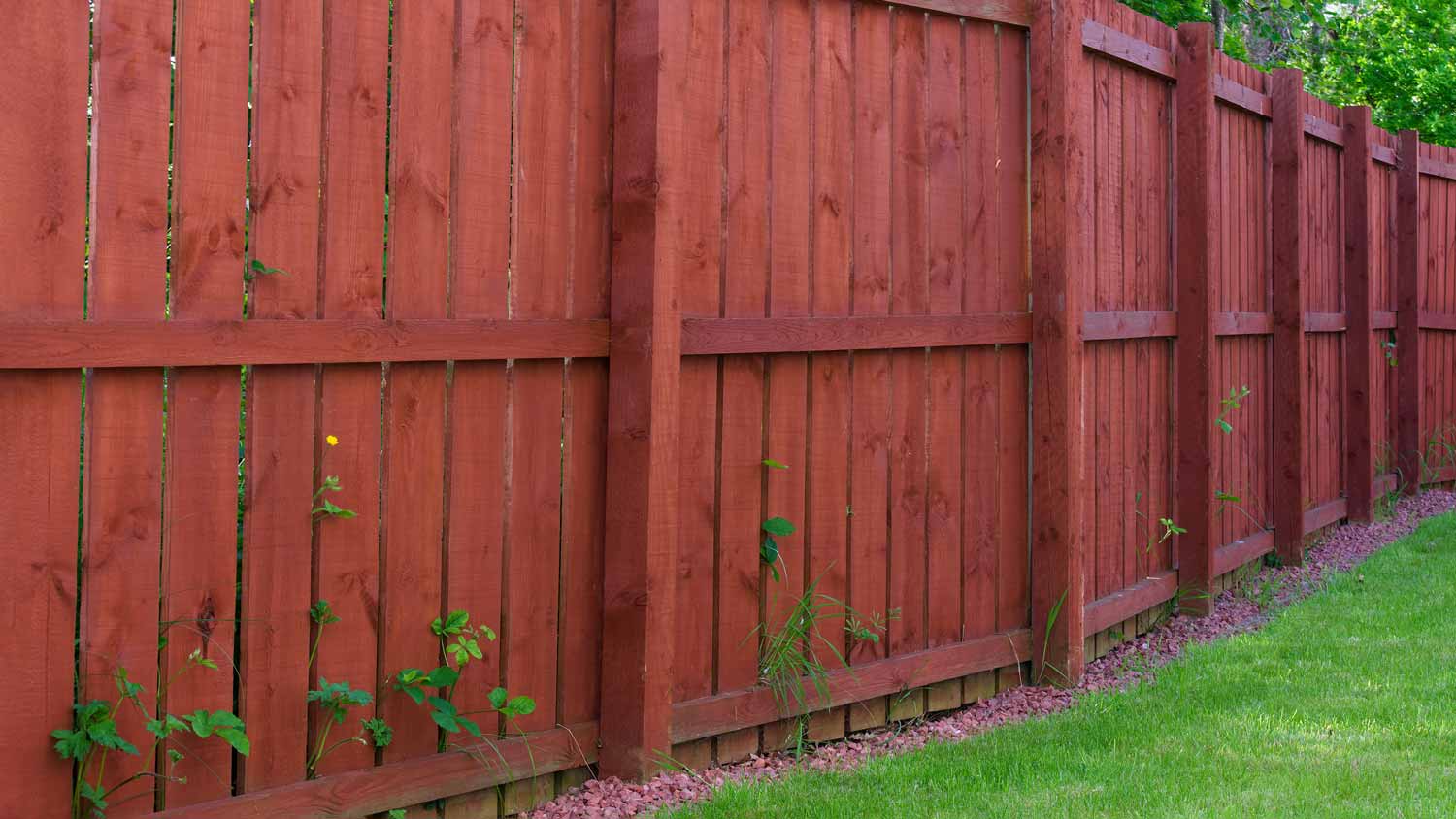 close up of wooden fence