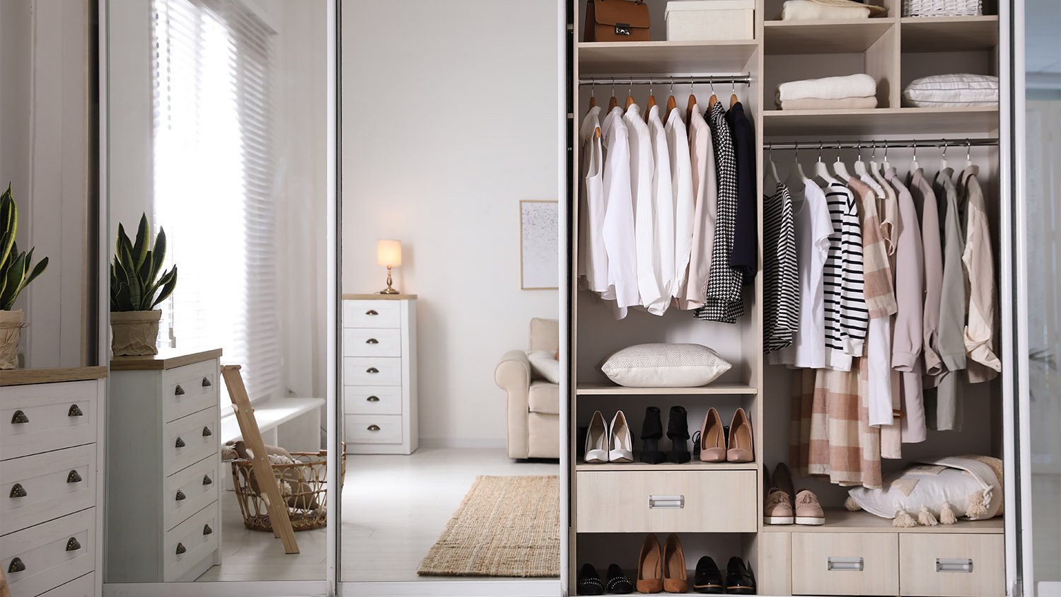 closet with different types of  storage space