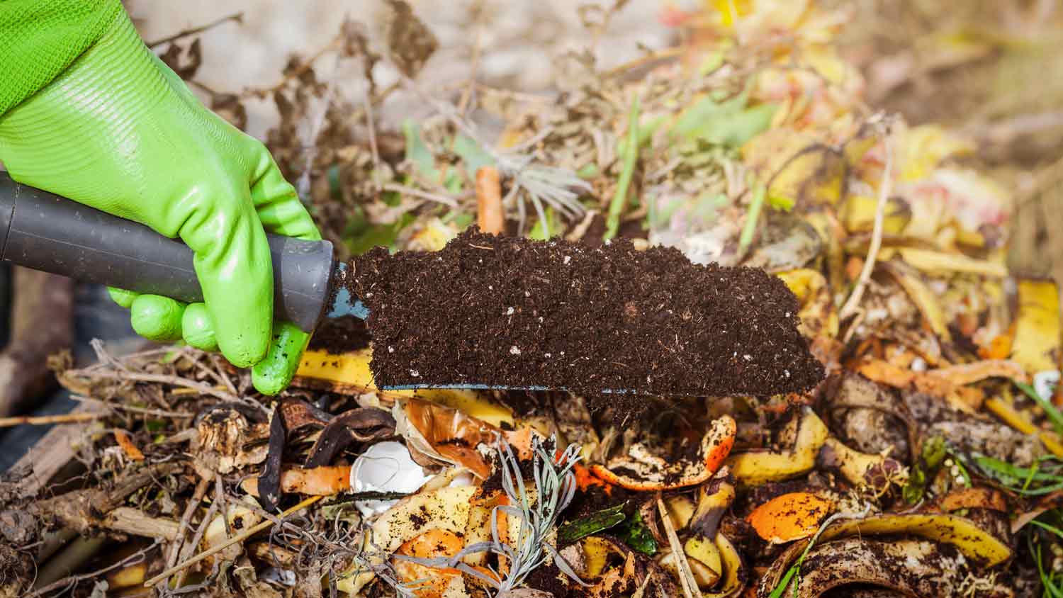 man using cold compost fertilizer