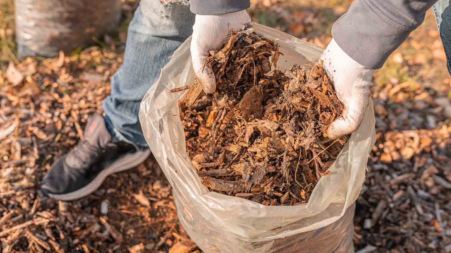 gardener collecting leaf mold