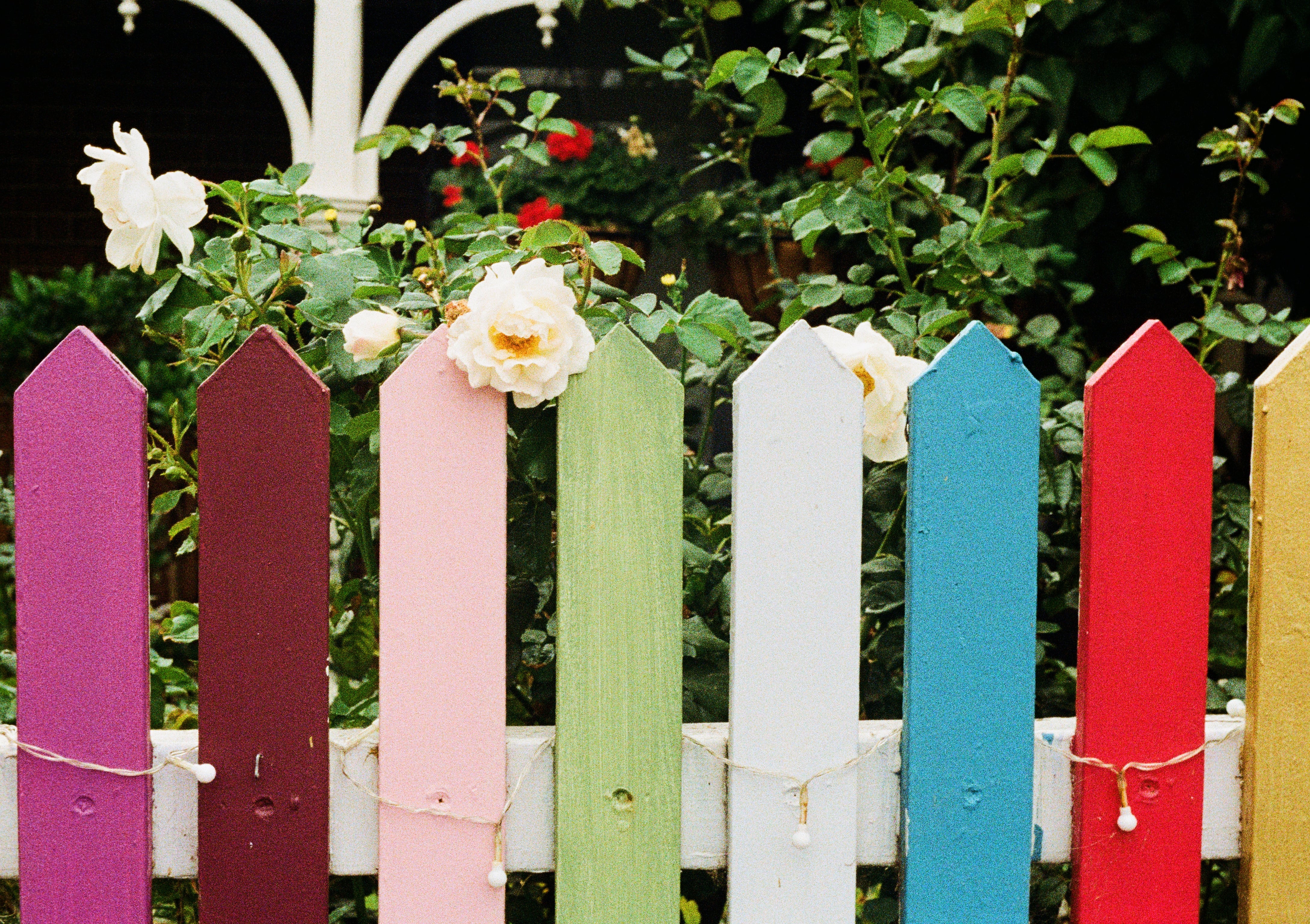 Colorful painted wood fence surrounding a flower garden