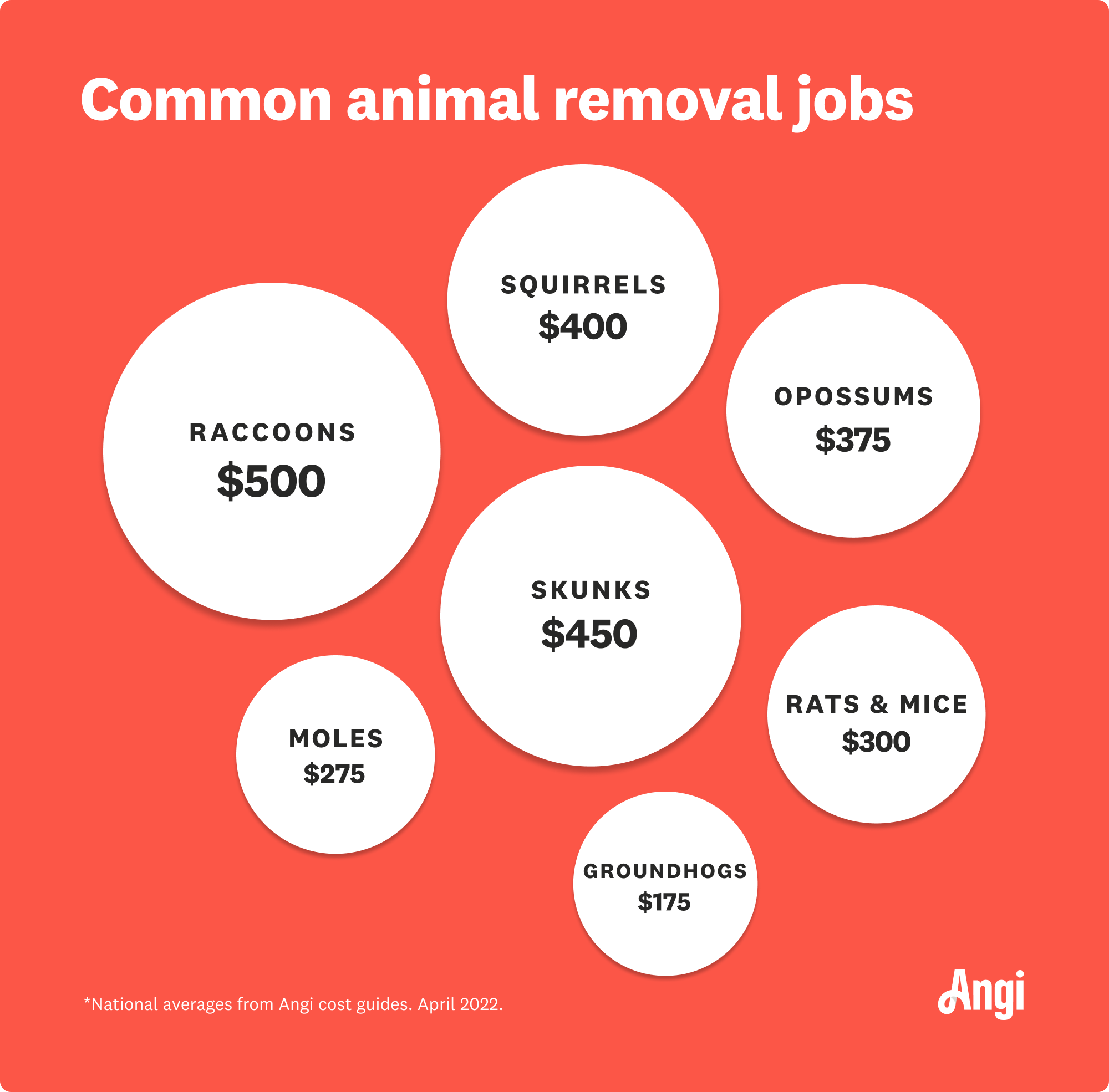 Costs for animal removal jobs compared by type, with raccoon removal averaging $500