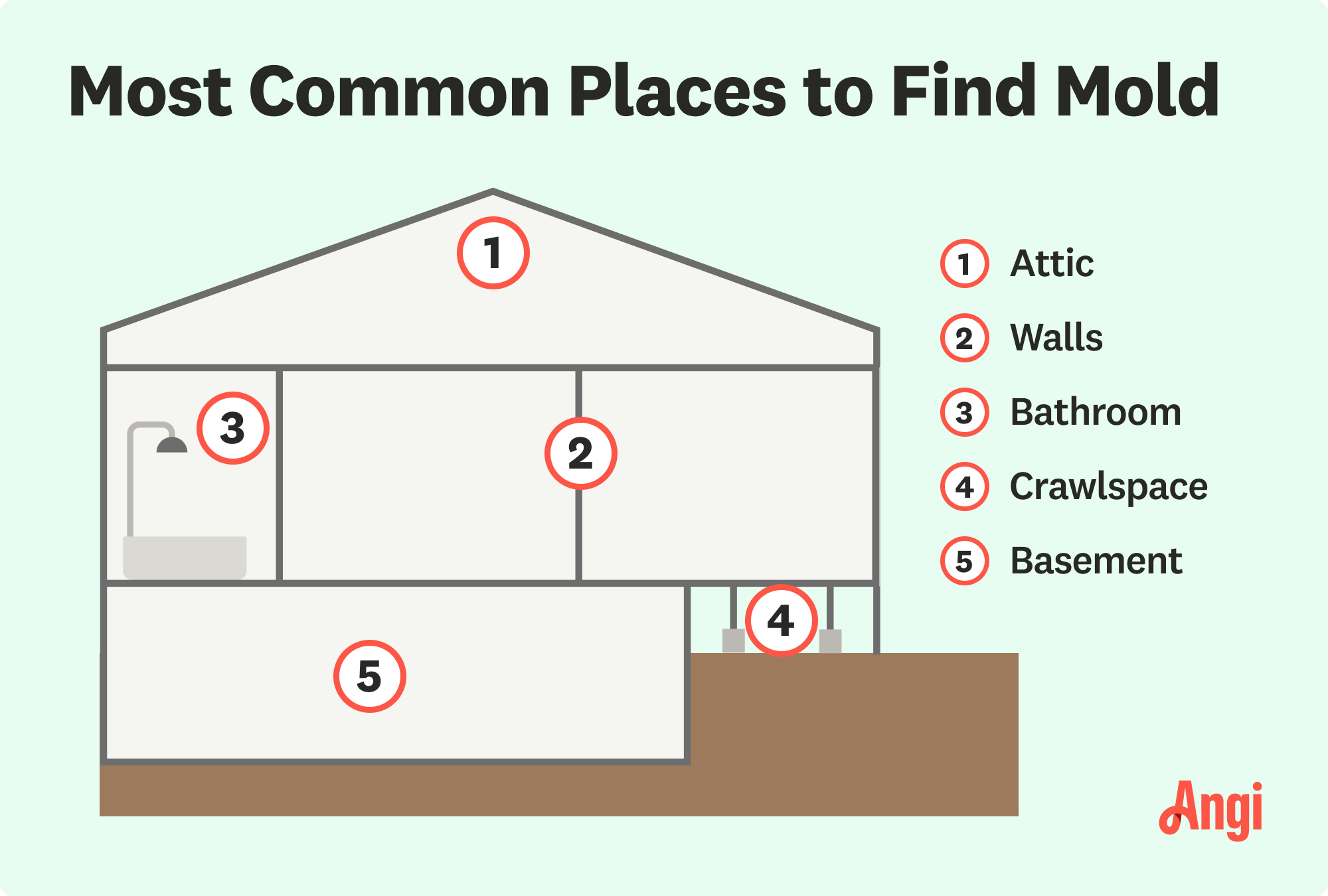 5 common places to find mold illustrated, including attic, walls, and bathroom