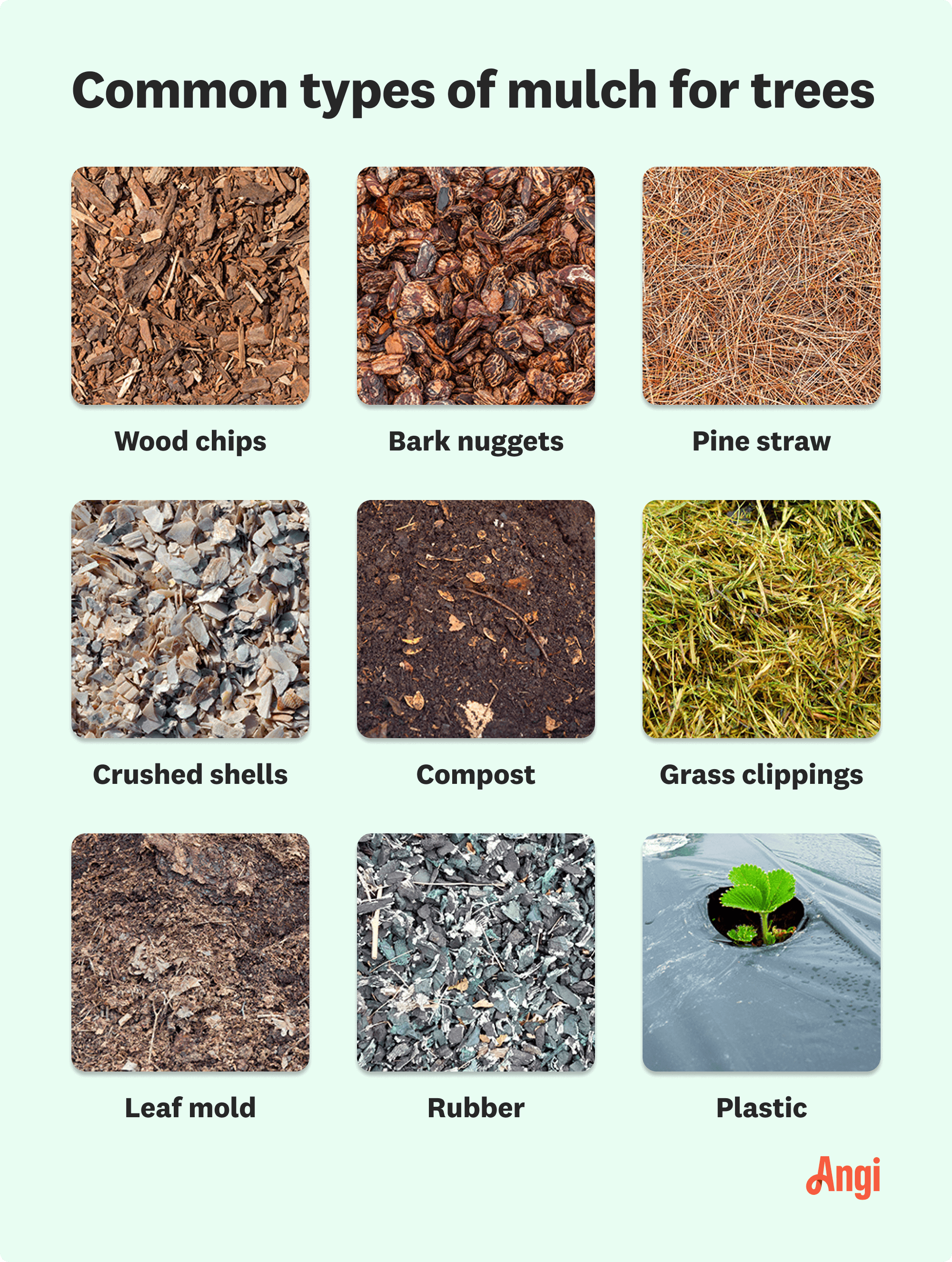 9 common types of mulch for tress compared visually, including wood chips, crushed shells, and rubber