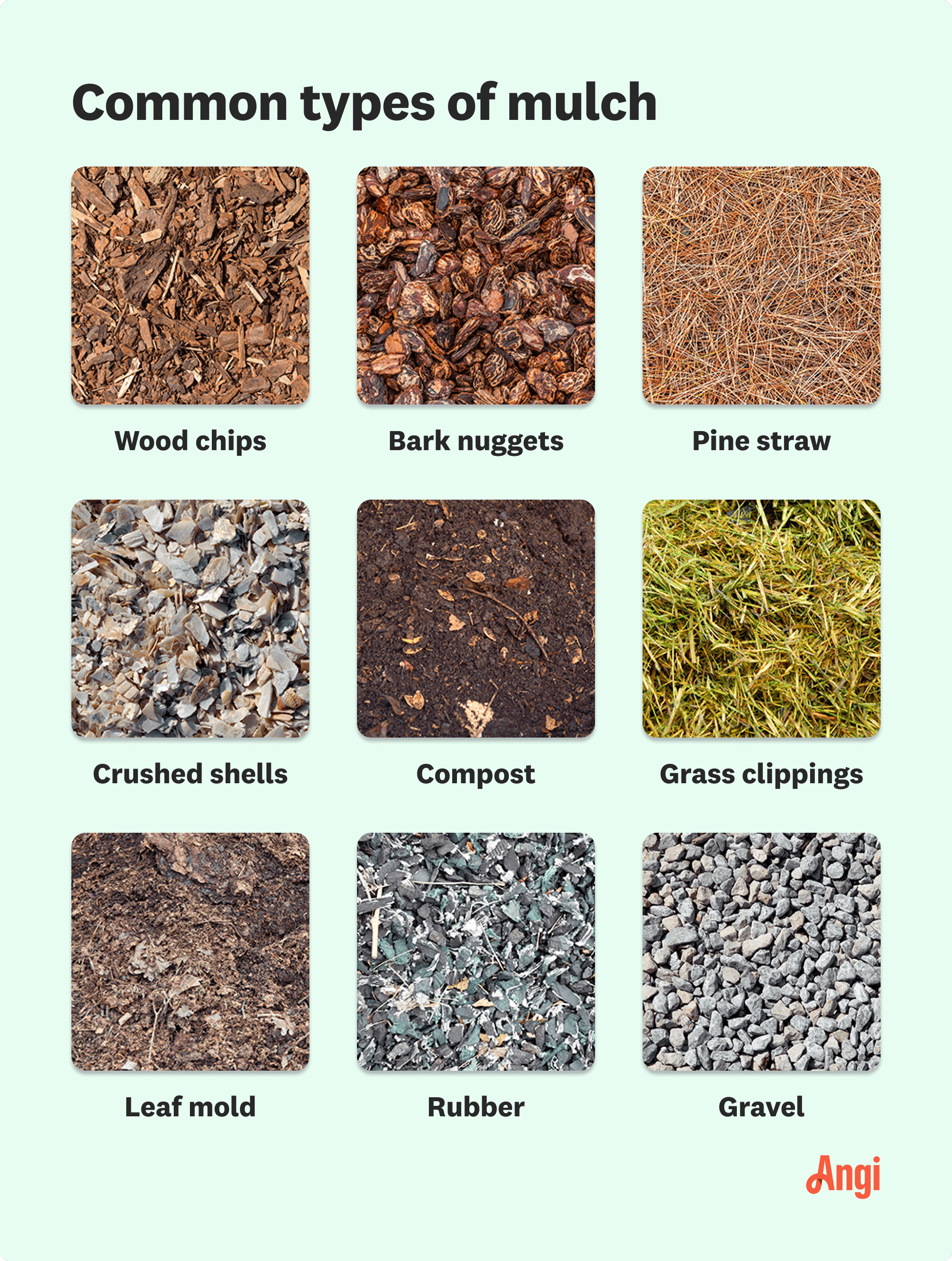 9 common types of mulch compared visually, including wood chips, crushed shells, and rubber