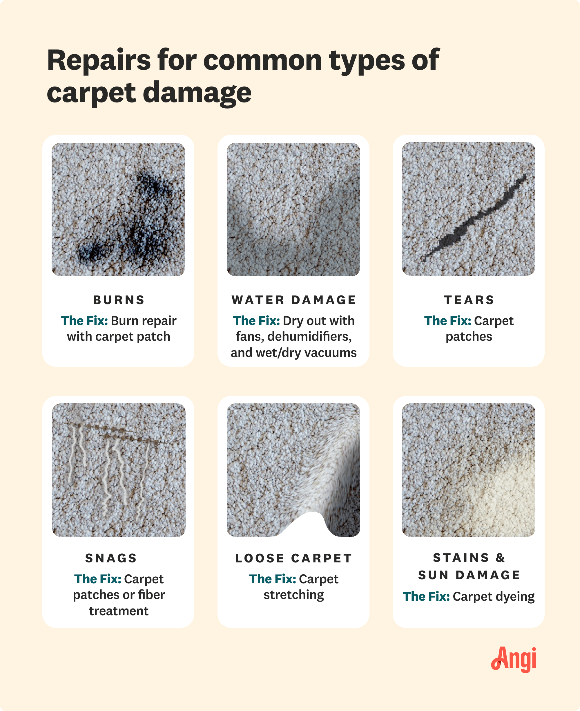 6 types of carpet damage and their fixes, including snags, tears, and burns