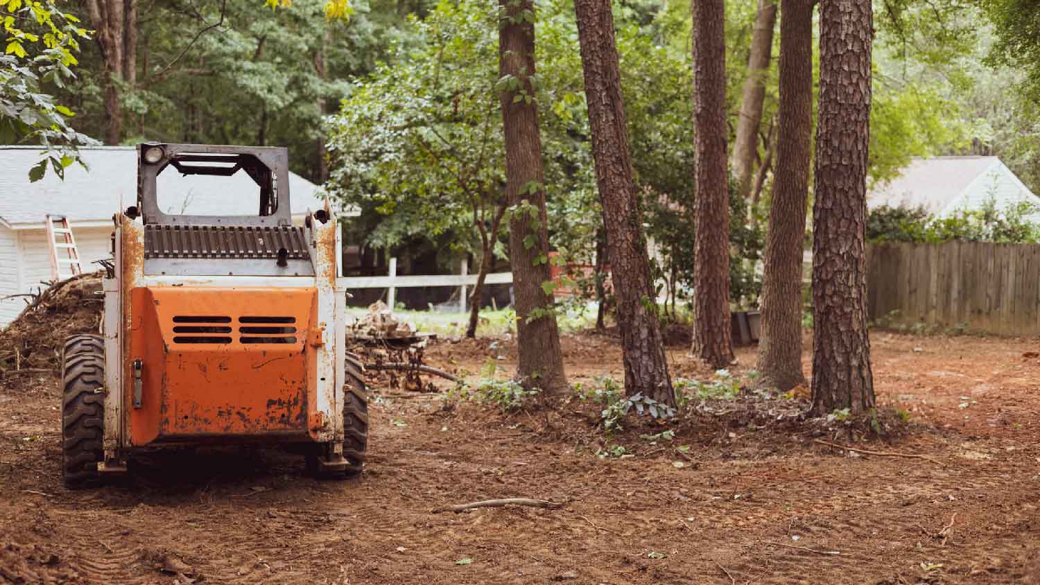 A company clearing a piece of land