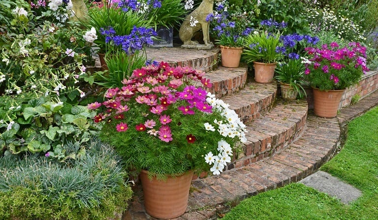 teracotta container plants lining walkway steps to home