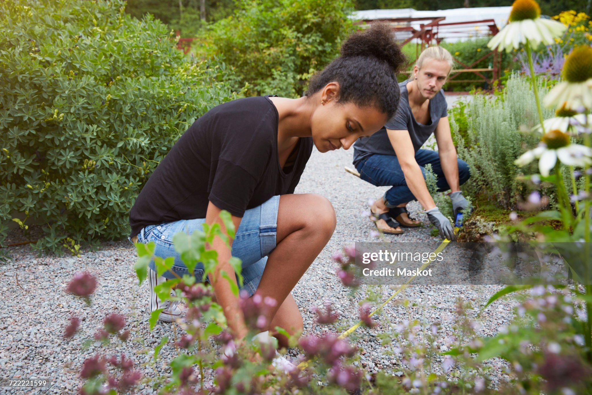 A couple measuring their yard