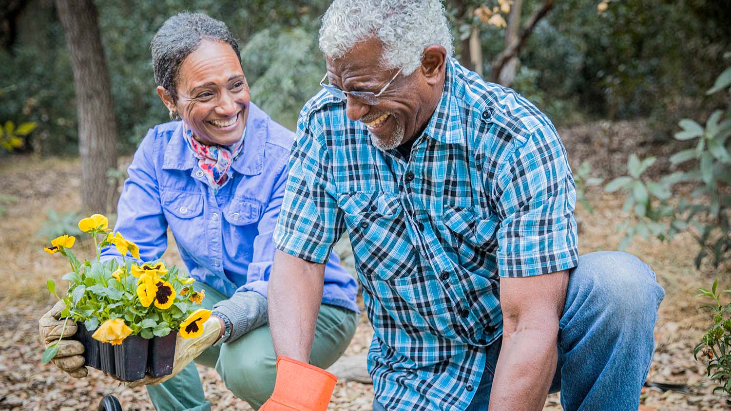 senior african american couple planting in garden