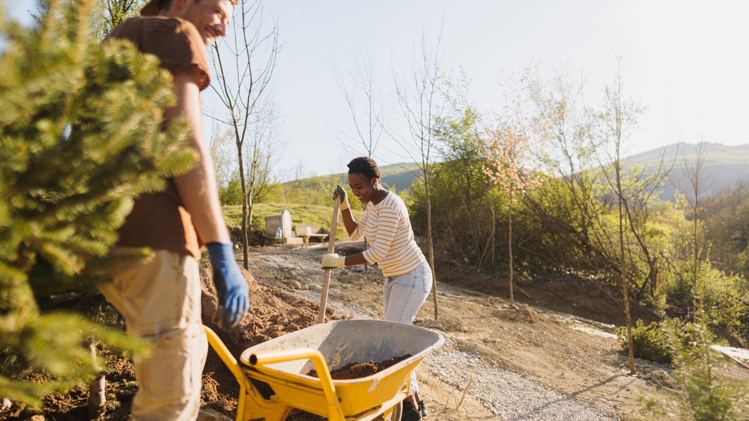 Working on a landscape in our backyard