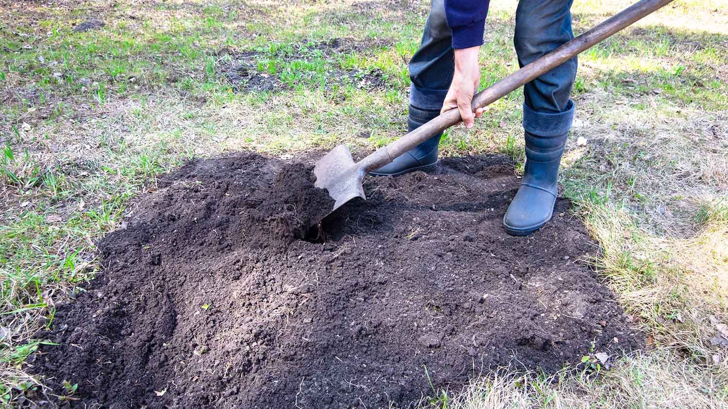Gardener covering a hole in the yard with soil