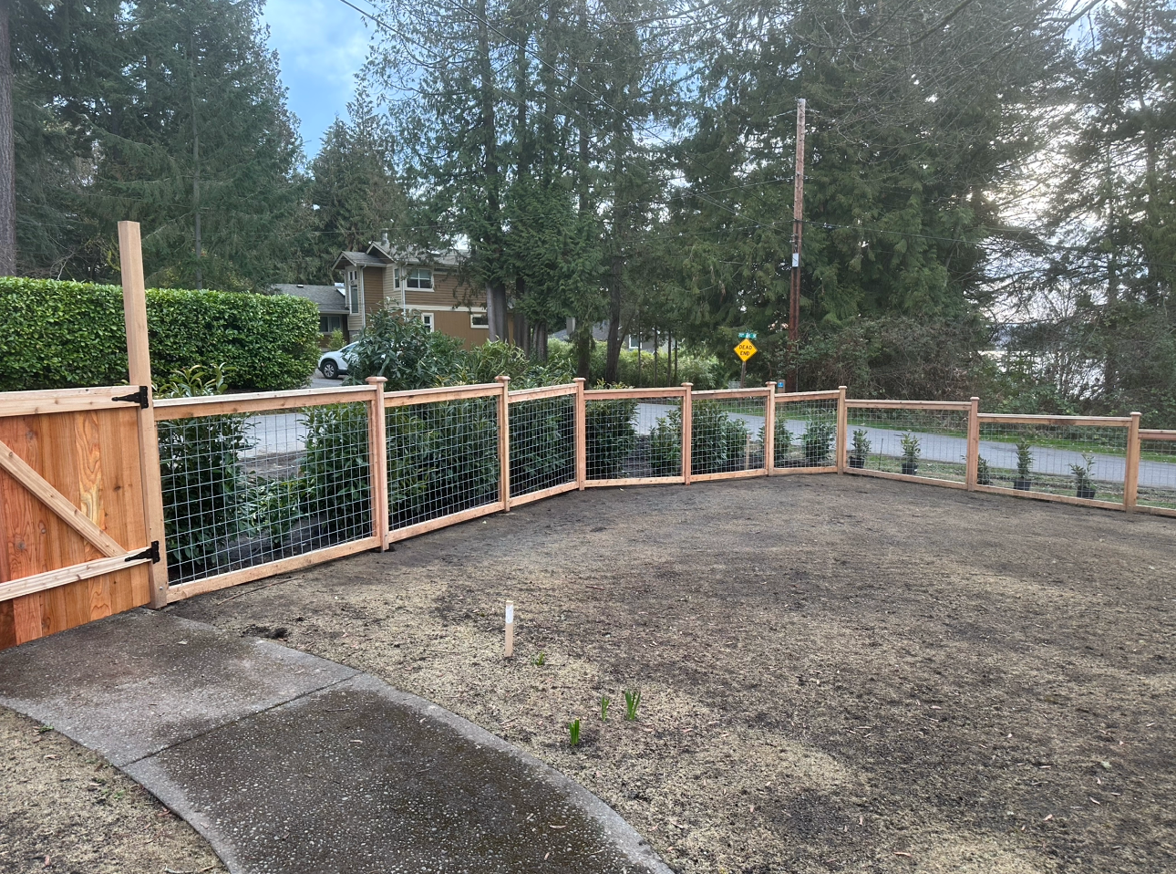 hog wire fence in yard