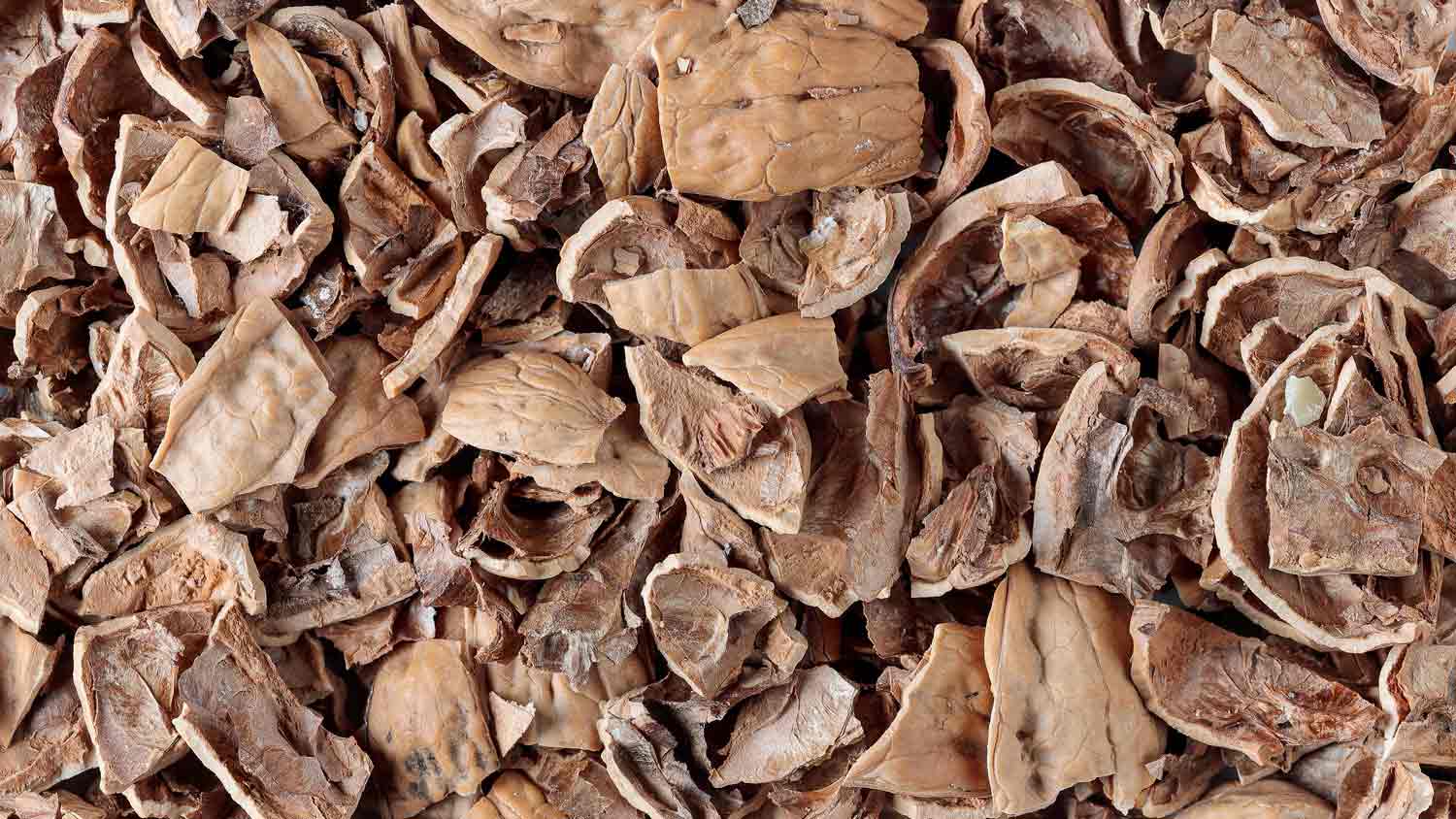 pile of crushed walnut shells