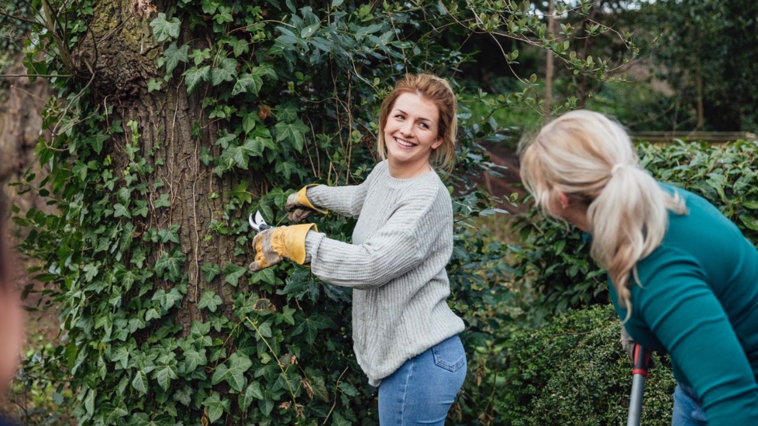 women cutting overgrown ivy from tree