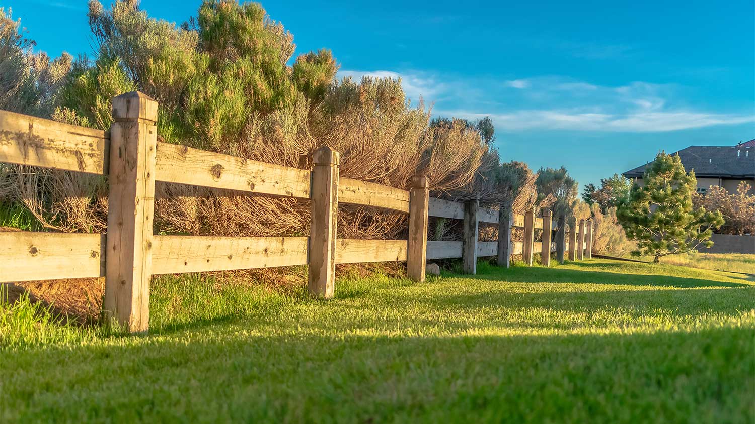 A cypress fence