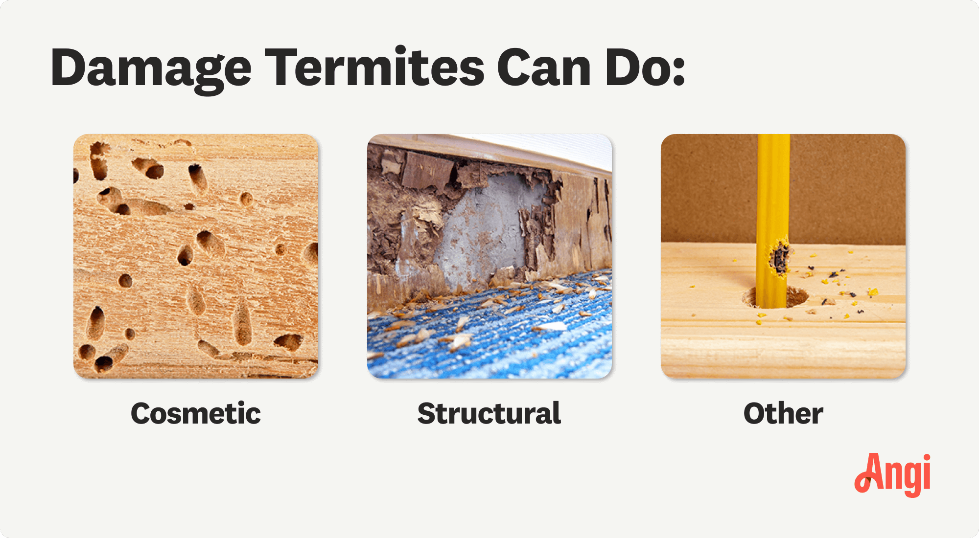 3 termite damage types compared visually, including cosmetic and structural