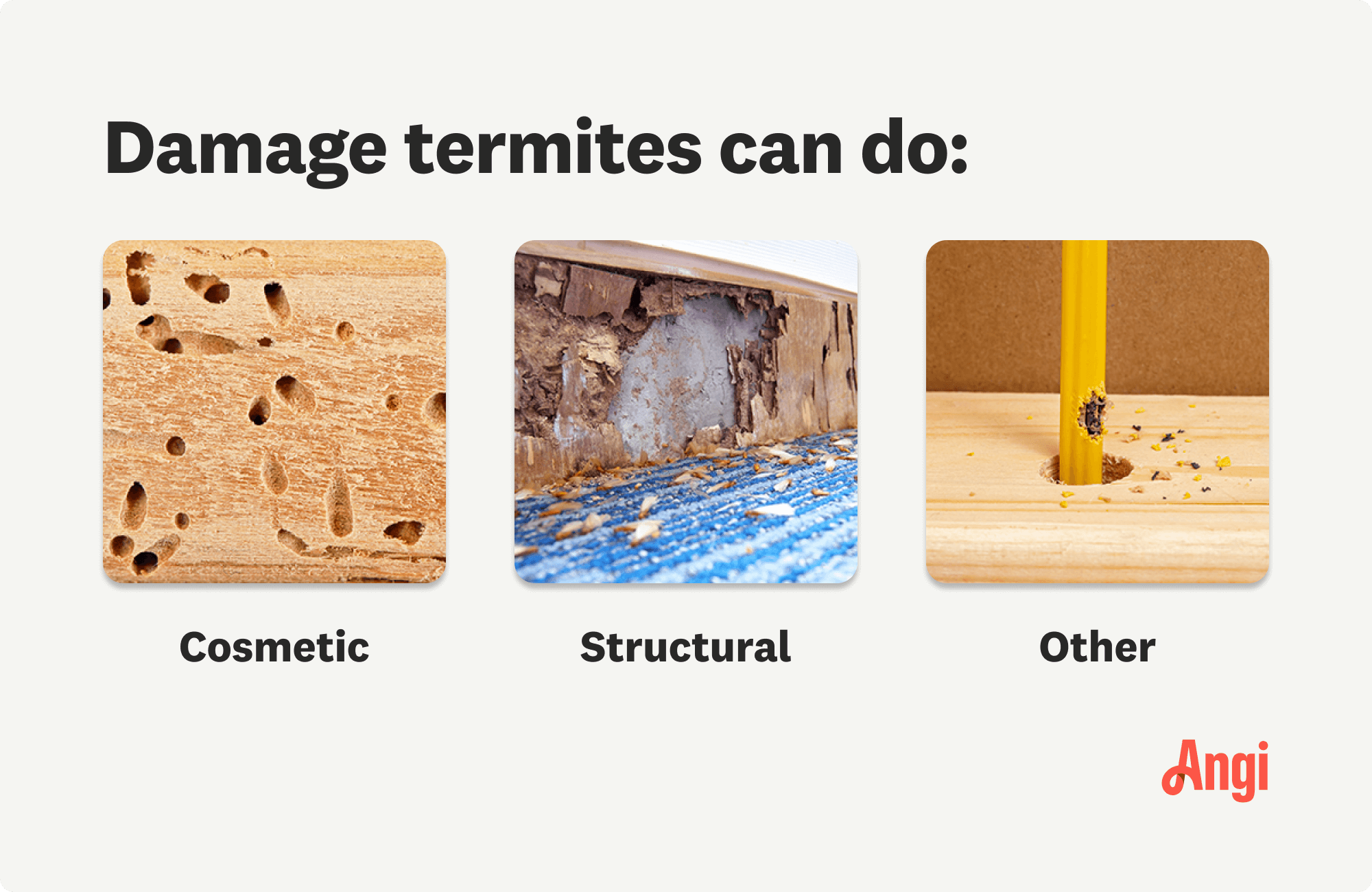 3 termite damage types compared visually, including cosmetic and structural