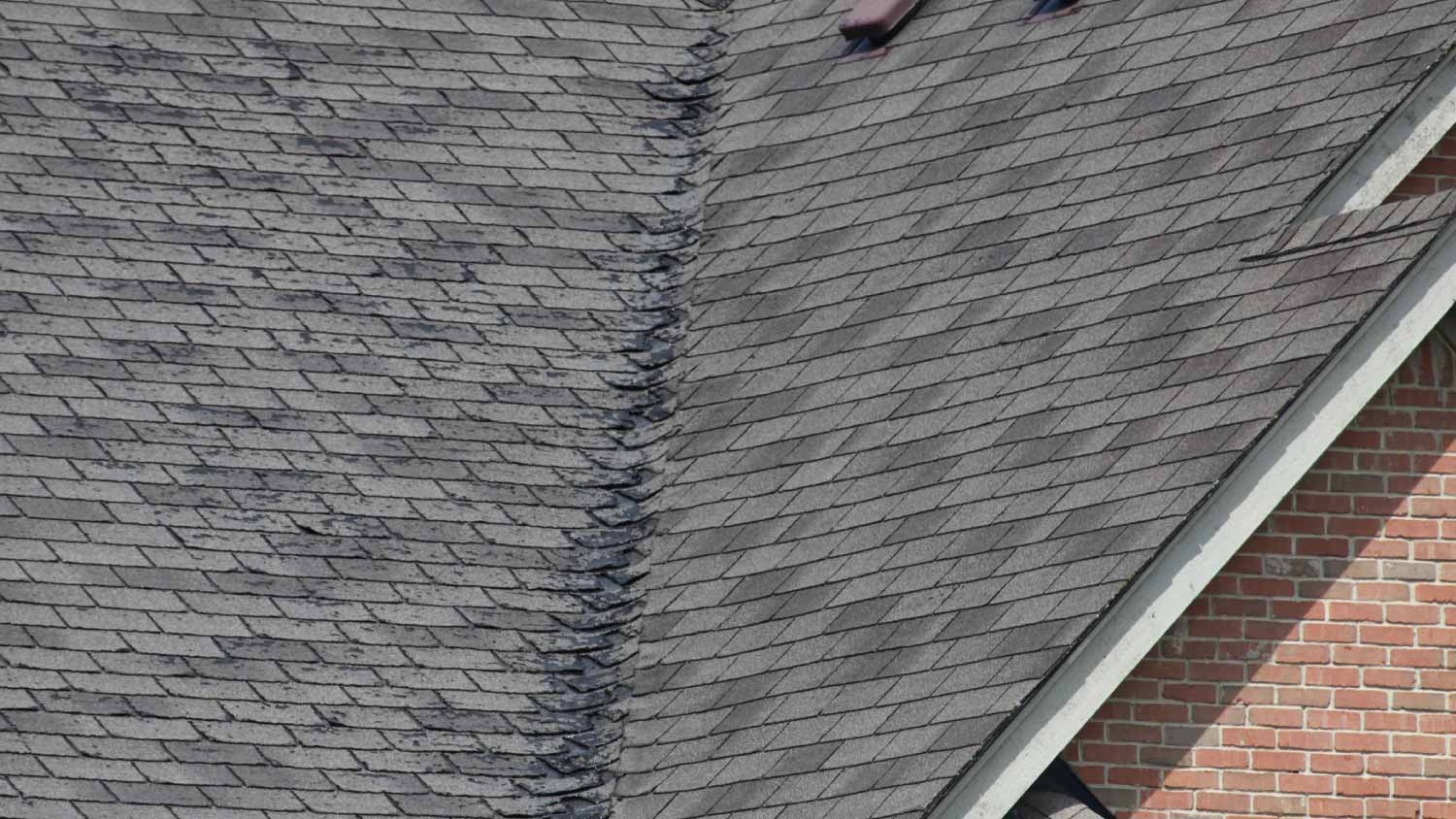 damaged roof shingles